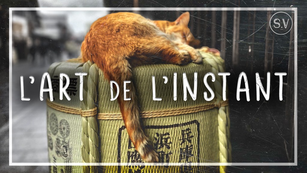 Ichigo Ichie : l&rsquo;essence philosophique du&nbsp;Japon